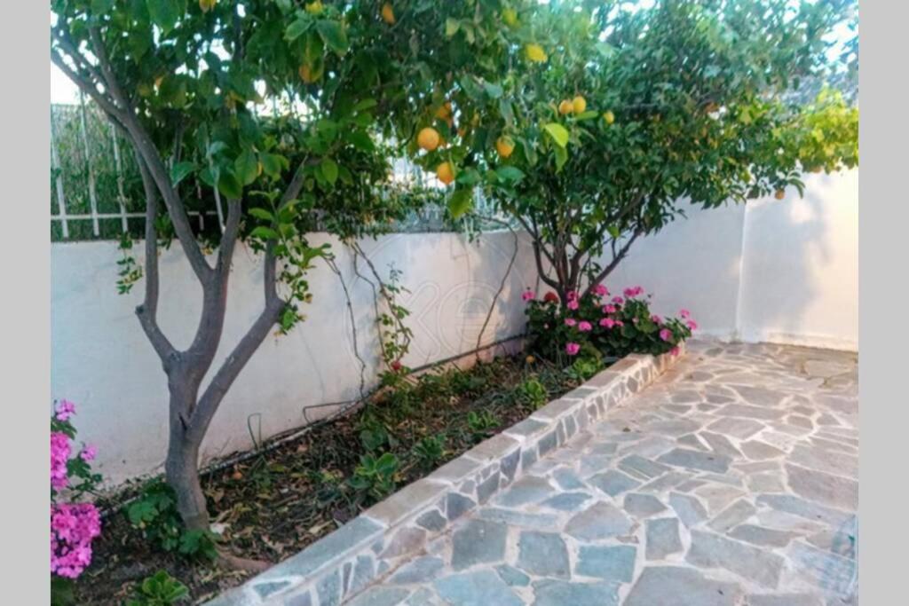 Kalivia Thorikou Lagonisi Magic Home Relaxation מראה חיצוני תמונה